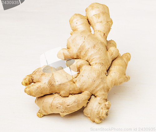Image of Ginger isolated on white