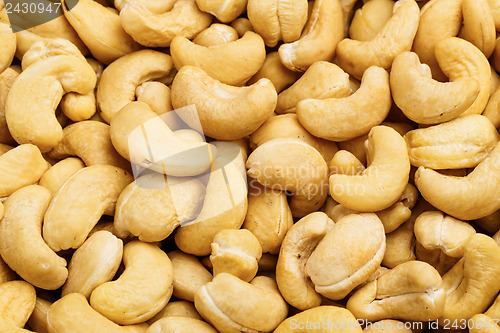Image of Fresh cashew nuts