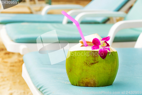Image of Coconut with drinking straw on beach bench