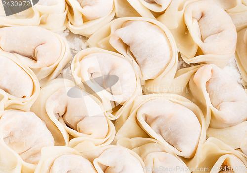 Image of Homemade dumpling