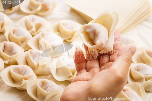 Image of Making of Chinese dumpling