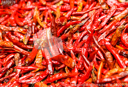Image of Red Chili peppers