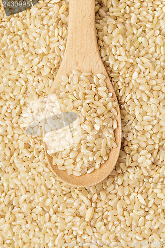 Image of Brown rice on spoon