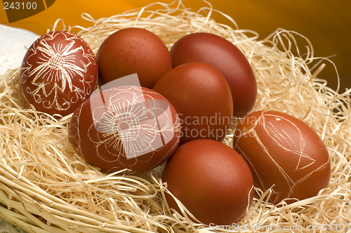 Image of egg