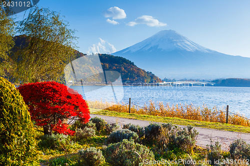 Image of Mt. Fuji in autumn