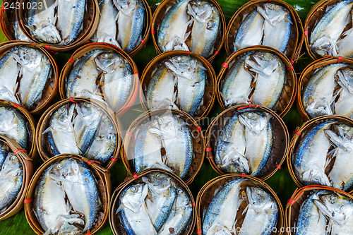 Image of Fish in barrels for sell at market in Bangkok