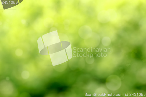 Image of Beautiful green Bokeh for background