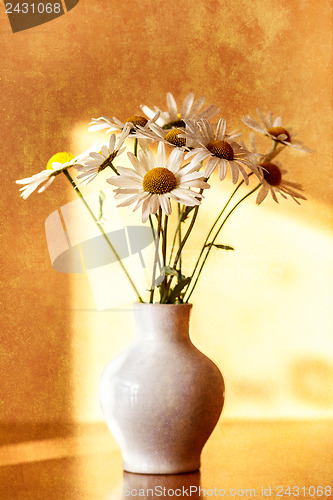 Image of daisy flower in white vase with shallow focus