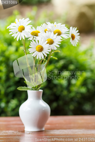 Image of daisy flower in the vase with shallow focus