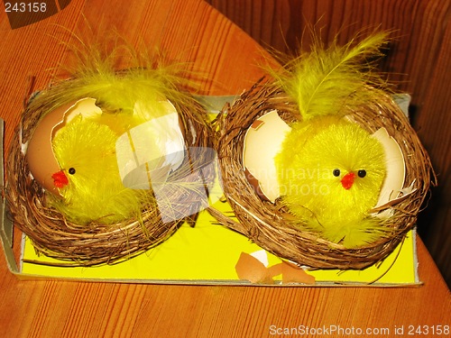 Image of Easter chickens