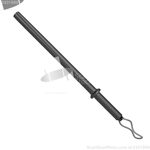 Image of Police baton