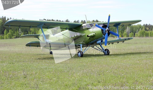 Image of Biplane An-2 (Antonov)  at the airport