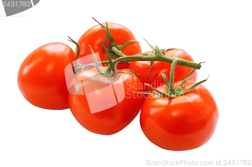 Image of bunch of red tomatoes isolated on a white background