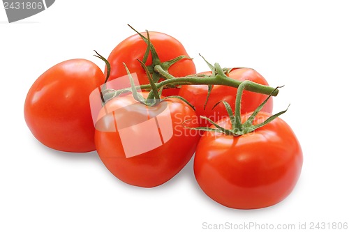 Image of bunch of red tomatoes isolated on a white background