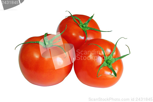 Image of red tomatoes isolated on a white background