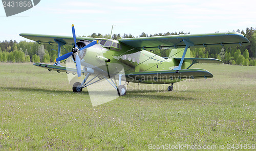 Image of Biplane An-2 (Antonov)  at the airport