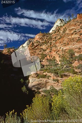 Image of Zion National Park