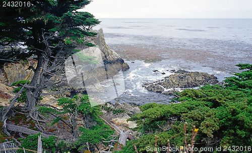 Image of Point Lobos