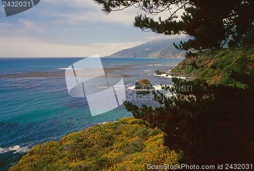 Image of Big Sur