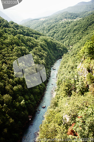 Image of Tara river