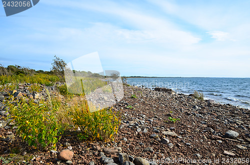 Image of Colourful coastline