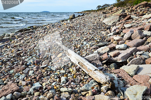 Image of Driftwood at stony coast