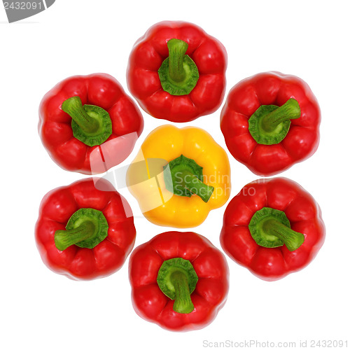 Image of Top view, red and yellow sweet  bell pepper isolated on white ba