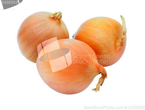 Image of three golden onions, isolated on white background