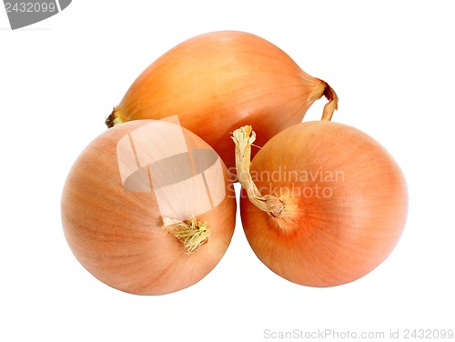 Image of three golden onions, isolated on white background