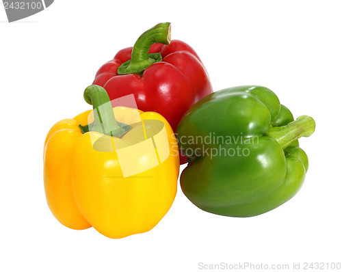 Image of Red green and yellow sweet  bell pepper isolated on white backgr