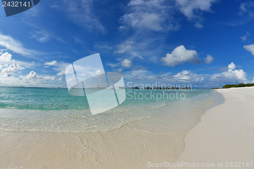 Image of tropical beach landscape