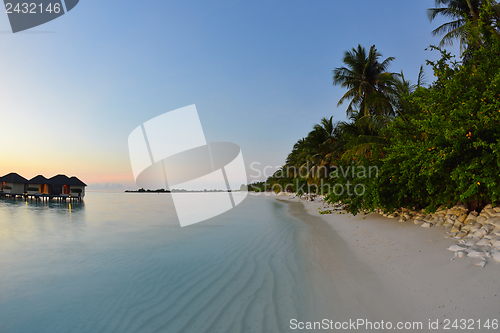 Image of tropical beach landscape