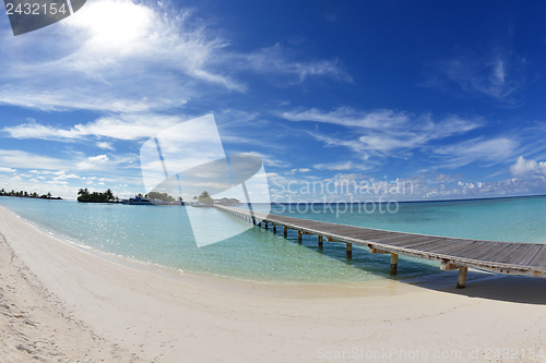 Image of tropical beach landscape