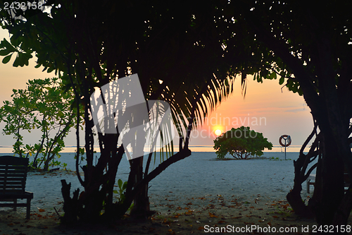 Image of tropical beach landscape