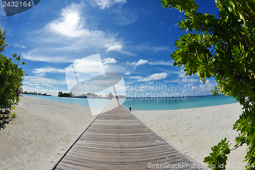 Image of tropical beach landscape