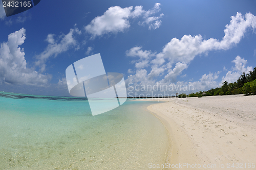 Image of tropical beach landscape