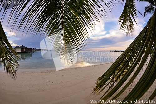 Image of tropical beach landscape