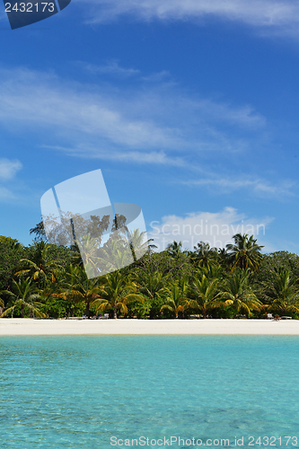 Image of tropical beach landscape