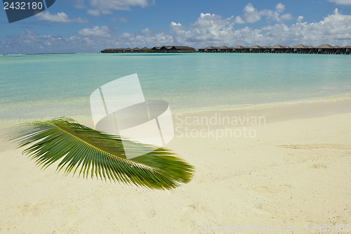 Image of tropical beach landscape