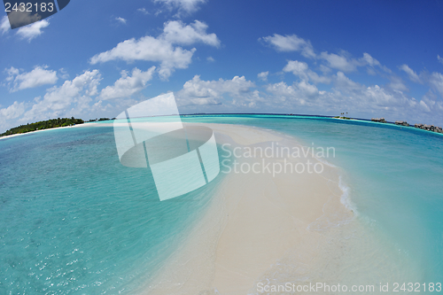 Image of tropical beach landscape