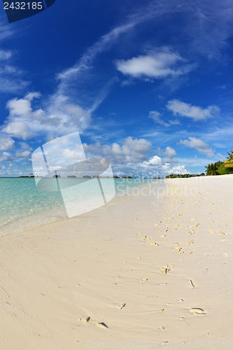 Image of tropical beach landscape