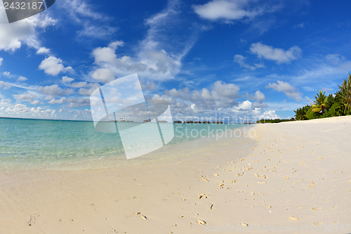 Image of tropical beach landscape