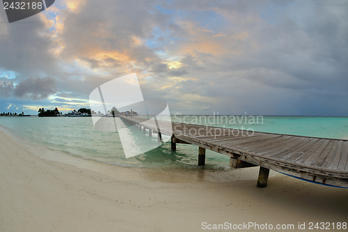 Image of tropical beach landscape