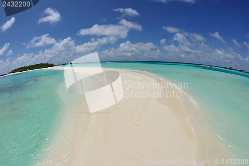 Image of tropical beach landscape