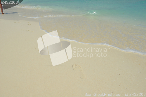 Image of tropical beach landscape