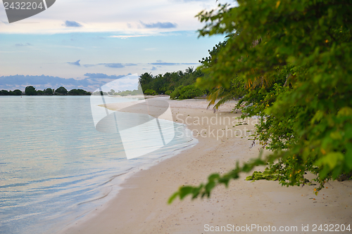 Image of tropical beach landscape