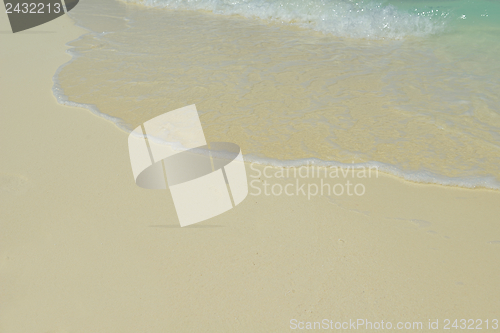 Image of tropical beach landscape