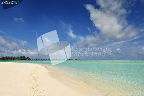 Image of tropical beach landscape