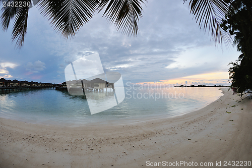 Image of tropical beach landscape