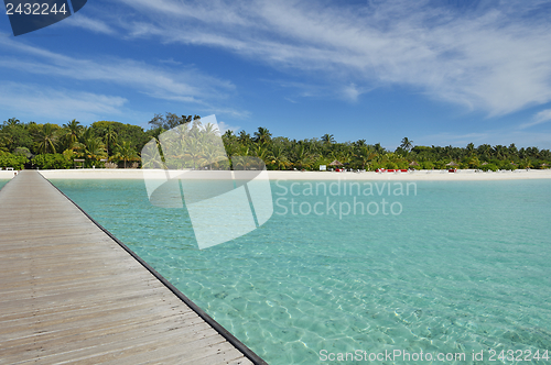 Image of tropical beach landscape